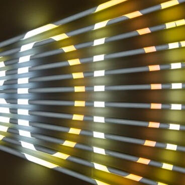 photo of sheila farr