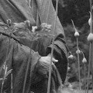 photo of sheila farr