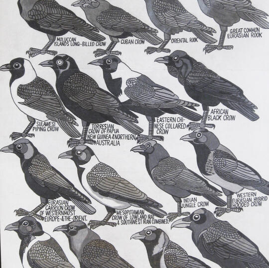 photo of Jean Walkinshaw